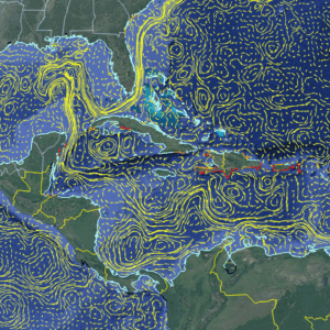 Sargassum Risk Management Systems (60 min)