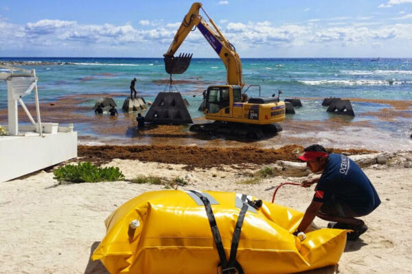 Beach Recovery, Sargassum Control Barrier, Artificial Reefs