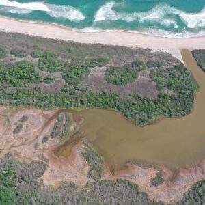 Consultoría para la Restauración de Ecosistemas